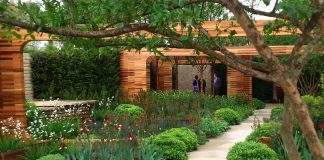 Unique-Home-Garden-Designs-For-Your-Inspiration
