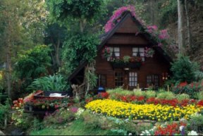home and gardening landscape