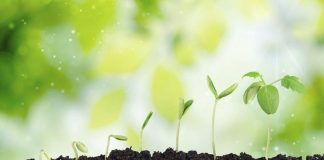 Nine Essential Factors To Determine Your Soil Type!