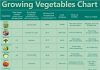 growing vegetables chart1