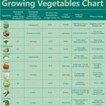 growing vegetables chart1
