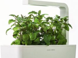 herb gardening kits