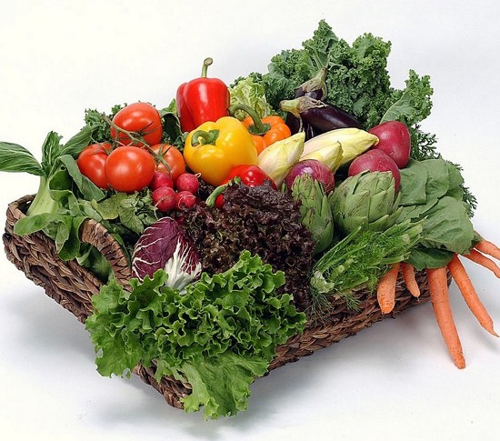 tips for organic vegetable gardening