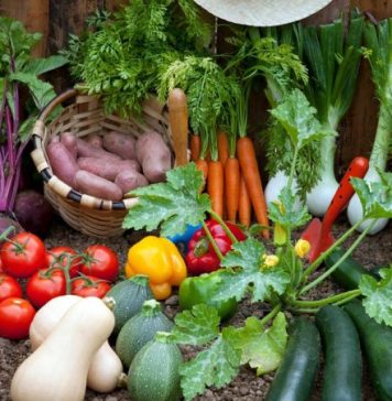 vegetable garden odds-Important tips and measures