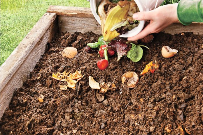 Five things you must never put in your compost pile