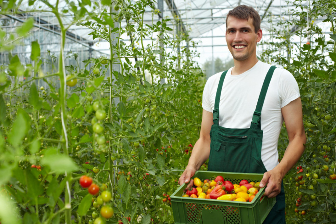 6 tips from organic farmers that you help a great deal