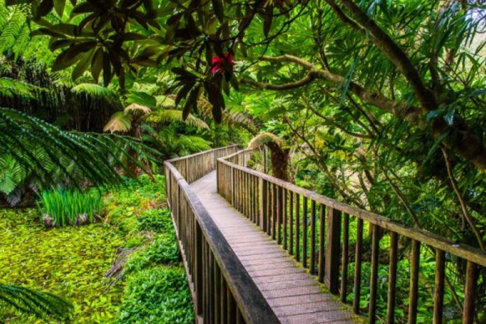 7 Bewitching Secret Gardens in the World