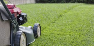 5 Tips To Consider When Mowing Your Lawn