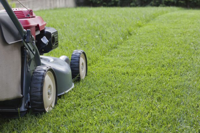 5 Tips To Consider When Mowing Your Lawn