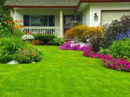 How to Change Your Garden with Changing Seasons?