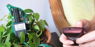 Top 5 Gadgets to Know Your Plant's Needs