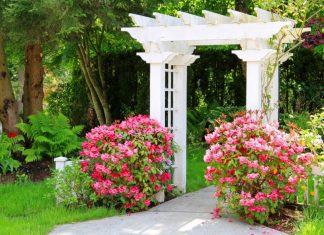Ways to Make an Attractive Garden Entrance