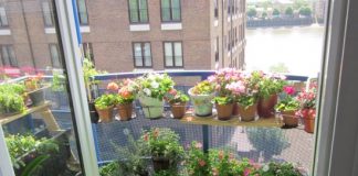 tips for decorating a balcony garden