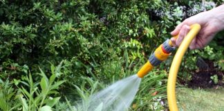 tips for reducing water usage in garden