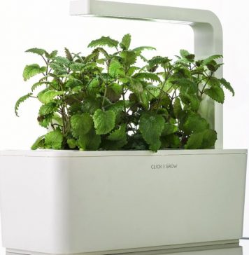 herb gardening kits