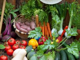 vegetable garden odds-Important tips and measures