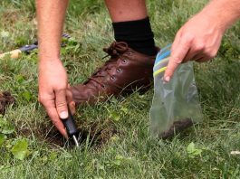 7 Easy Soil Tests you can Carry Out