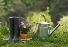 8 gardening equipment you should know