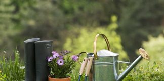 8 gardening equipment you should know