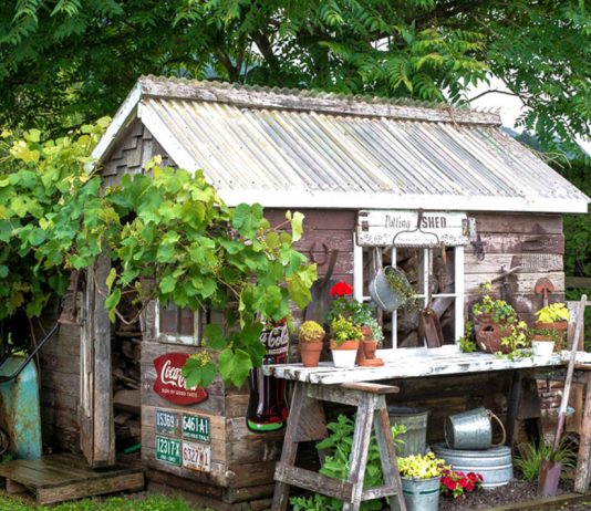5 tips to keep in mind when buying shed for your garden