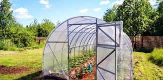 4 Ways You Can Make Your Own Greenhouse