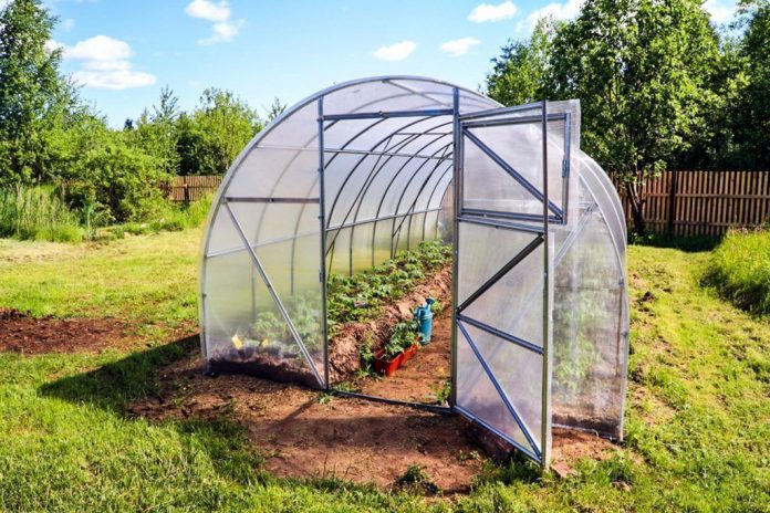 4 Ways You Can Make Your Own Greenhouse