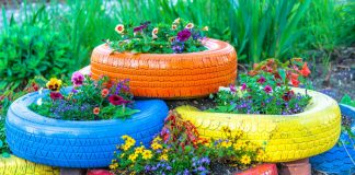 5 Crazy Gardening Methods Which Actually Work